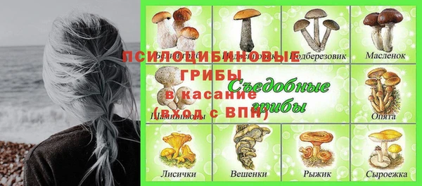 дмт Беломорск