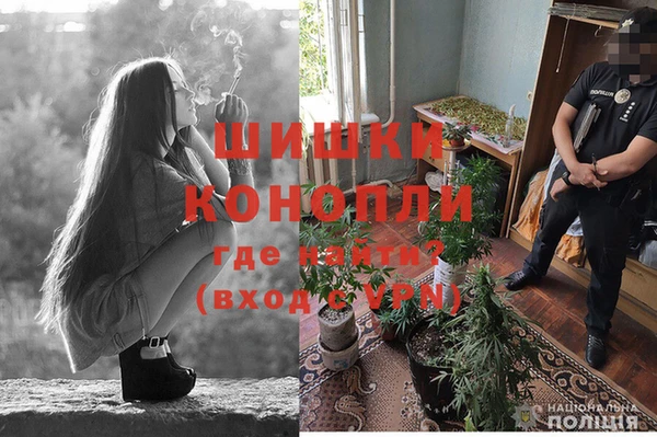 спайс Белокуриха