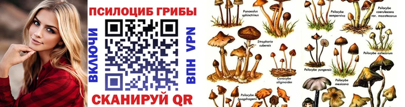 Псилоцибиновые грибы мицелий  где можно купить   Курчалой 