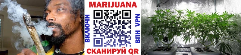 Конопля планчик  hydra маркетплейс  Курчалой 